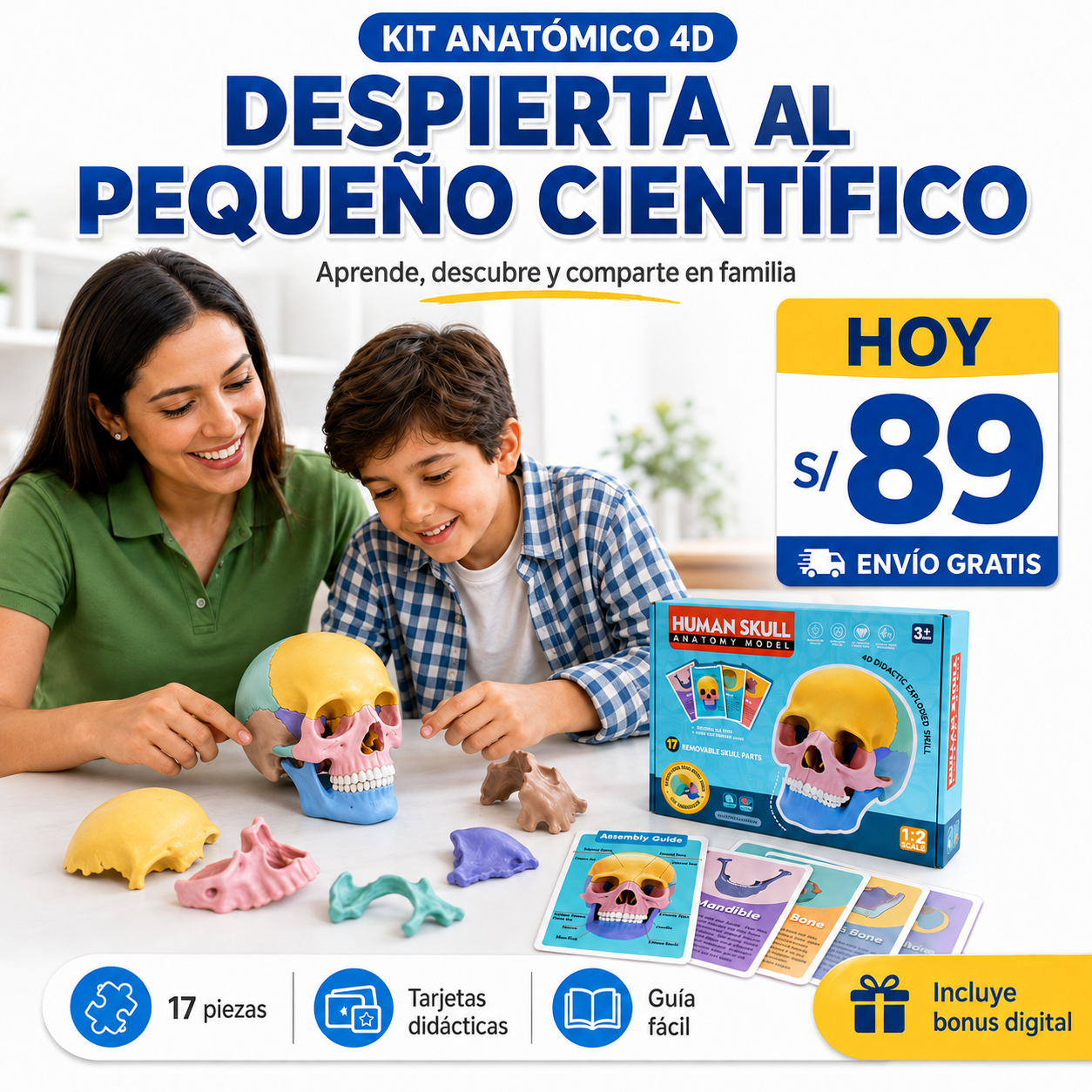 KIT ANATÓMICO 4D - CRANEO DIDÁCTICO